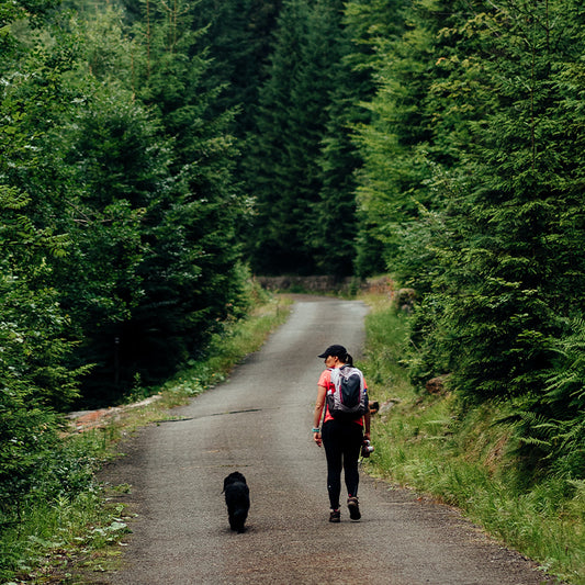 The Benefits of Hiking – 10 Reasons to Start