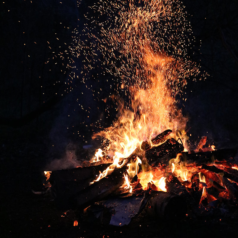 Fire Starting in the Wilderness