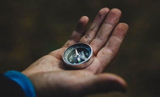 Lost and Found in the Wild